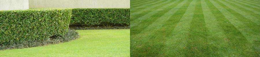 Lawn mowing and hedging