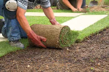 We can lay your new turf